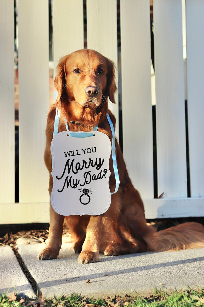 Will You Marry My Dad? Proposal Engagement Sign Photo Shoot Special Occasion Dog Sign Dog Photo Prop Sign for Engagement - 8x10" Sign With Light Blue Ribbon Modeled by Chance the Golden Retriever