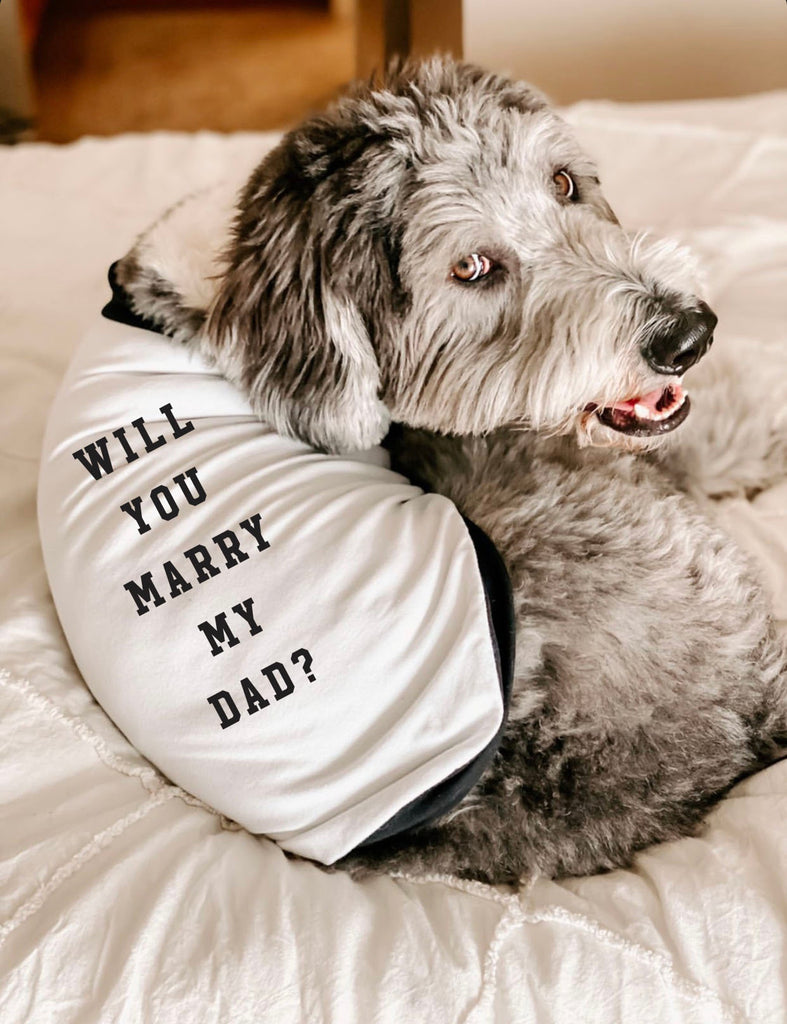 Personalized Wording Letterboard Style Custom Dog Shirt Tee in Black and White - "Will You Marry My Dad?" modeled by Bogey the Bernedoodle