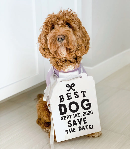 Best Dog Save the Date Wedding Announcement Bow Tie Engagement Special Occasion Dog Sign - Modeled by Bean the Goldendoodle