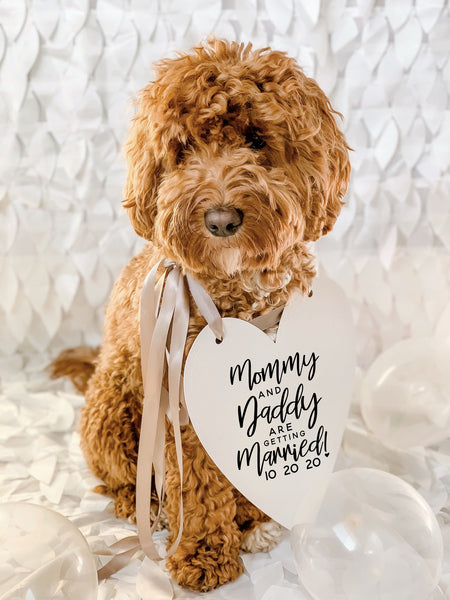 Mommy & Daddy are Getting Married! Wedding Announcement Bow Tie Engagement Special Occasion Dog Sign - Heart Sign modeled by Bean the Goldendoodle