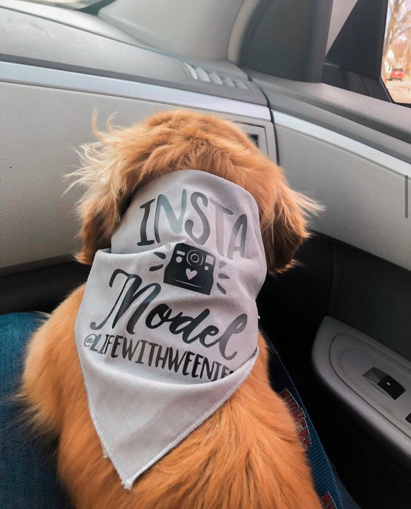 Custom Insta Model Instagram Model Instagram Handle IG Bandana in Dark Grey