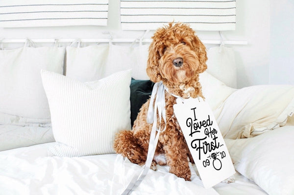 I Loved Her First Wedding Announcement Engagement Photo Shoot Special Occasion Dog Sign Dog Photo Prop - 8x10" Sign with Silver Ribbon Modeled by Bean the Goldendoodle
