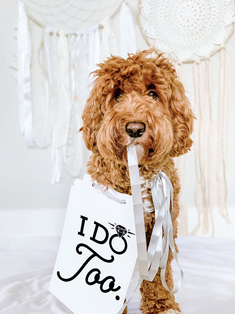 I Do Too Wedding Date Announcement Engagement Photo Shoot Special Occasion Dog Sign Dog Photo Prop Sign for Photo Shoot - 8x10" Rectangular Sign with Silver Ribbon Modeled by Bean the Goldendoodle