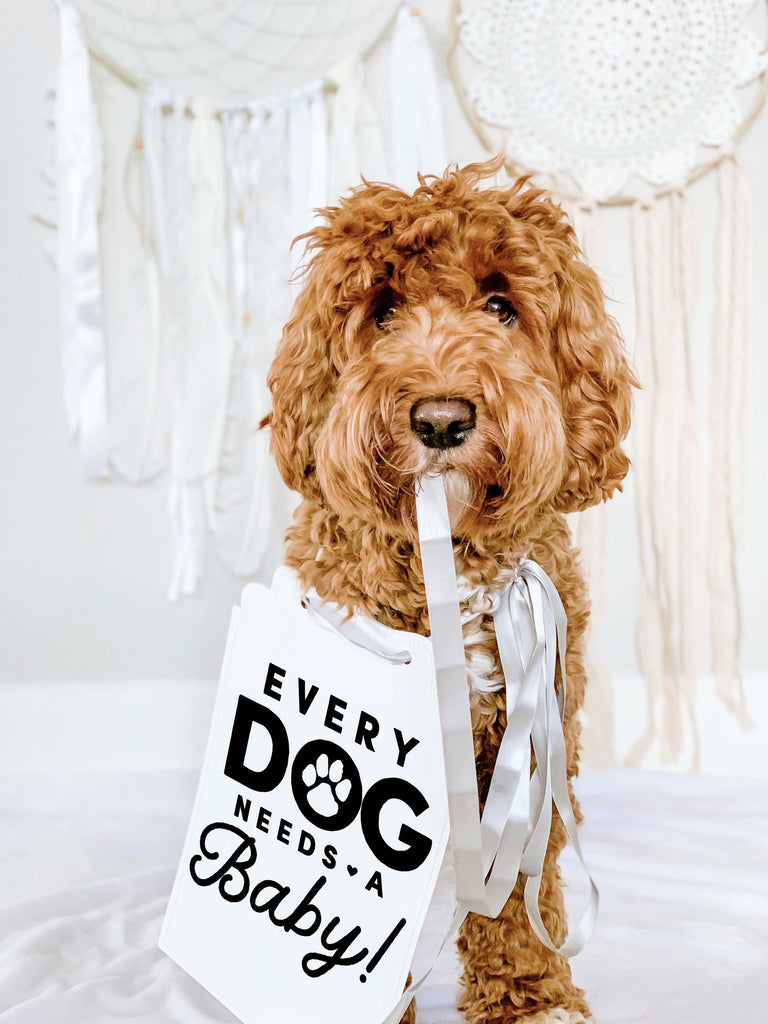 Every Dog Needs a Baby! Announcement Newborn Photo Shoot Dog Sign Prop Pregnancy Announcement - Modeled by Bean the Goldendoodle