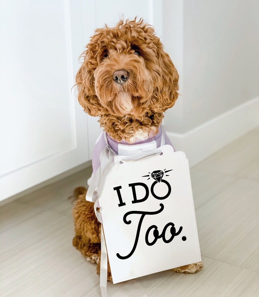 I Do Too Wedding Date Announcement Engagement Photo Shoot Special Occasion Dog Sign Dog Photo Prop Sign for Photo Shoot - 8x10" Sign with Silver Ribbon Modeled by Bean the Goldendoodle