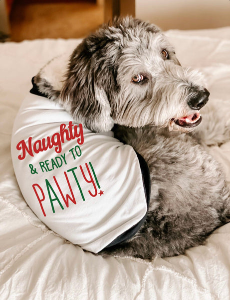 Naughty & Ready to Pawty! Dog Christmas Raglan