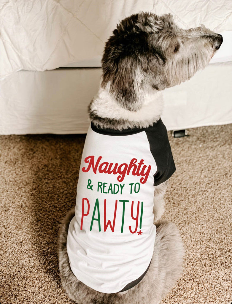 Naughty & Ready to Pawty! Dog Christmas Raglan