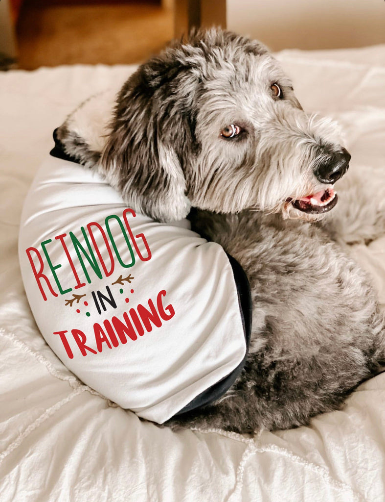 Reindog in Training Dog Christmas Raglan in Black and White