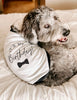 Dog Birthday It's My Birthday Bow Tie Dog Raglan T-Shirt in Black and White Modeled by Bogey the Bernedoodle