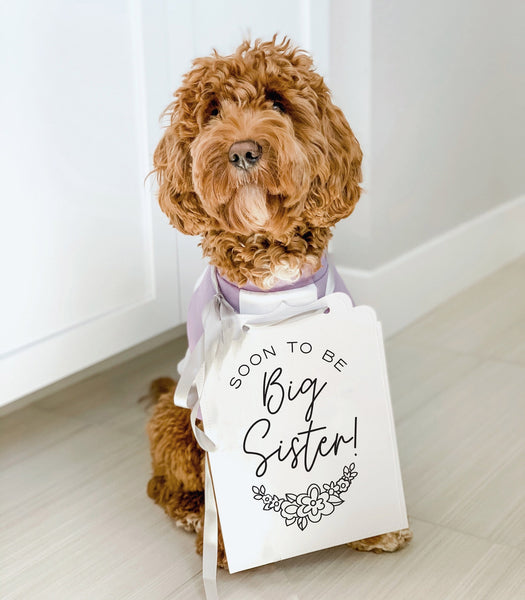 Soon to Be Big Sister Floral Baby Announcement Baby Photo Shoot Dog Sign Prop Pregnancy Announcement - 8x10" Sign with Silver RIbbon Modeled by Bean the Goldendoodle
