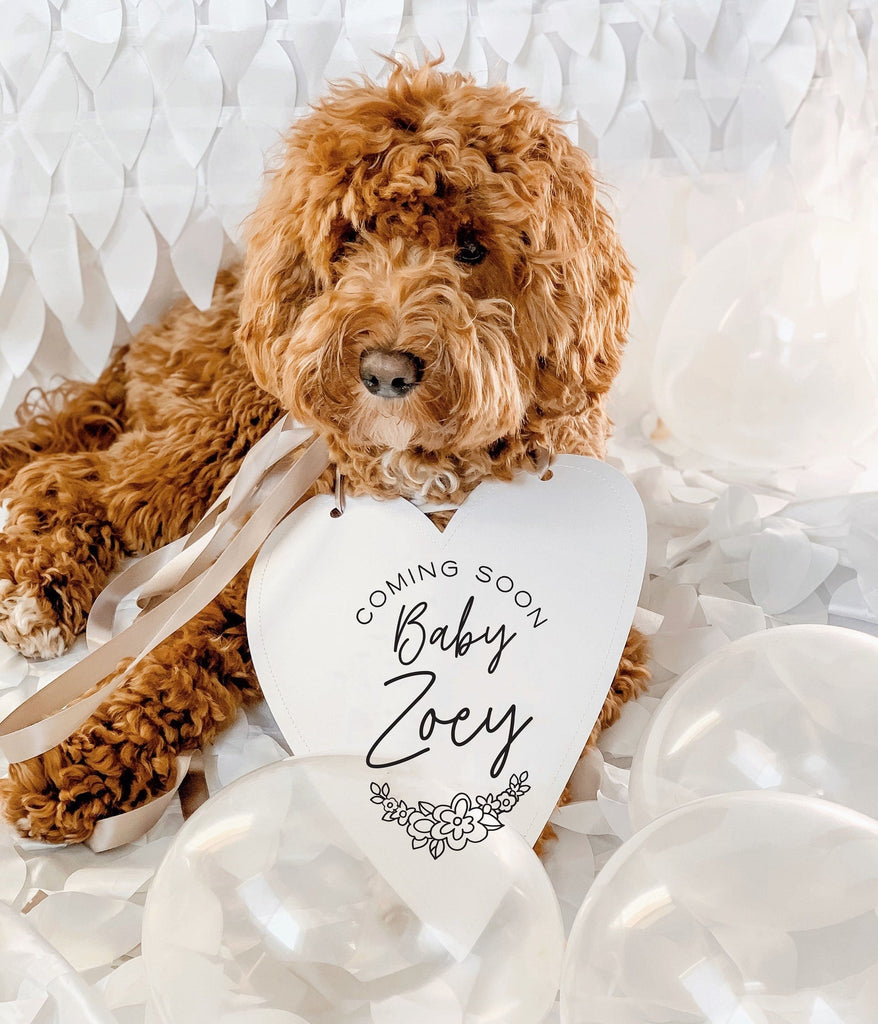 Coming Soon! Baby Name Baby Announcement Newborn Photo Shoot Special Occasion Dog Sign Dog Photo Prop Pregnancy Announcement - 8x10" Heart Sign with Taupe Ribbon Modeled by Bean the Goldendoodle