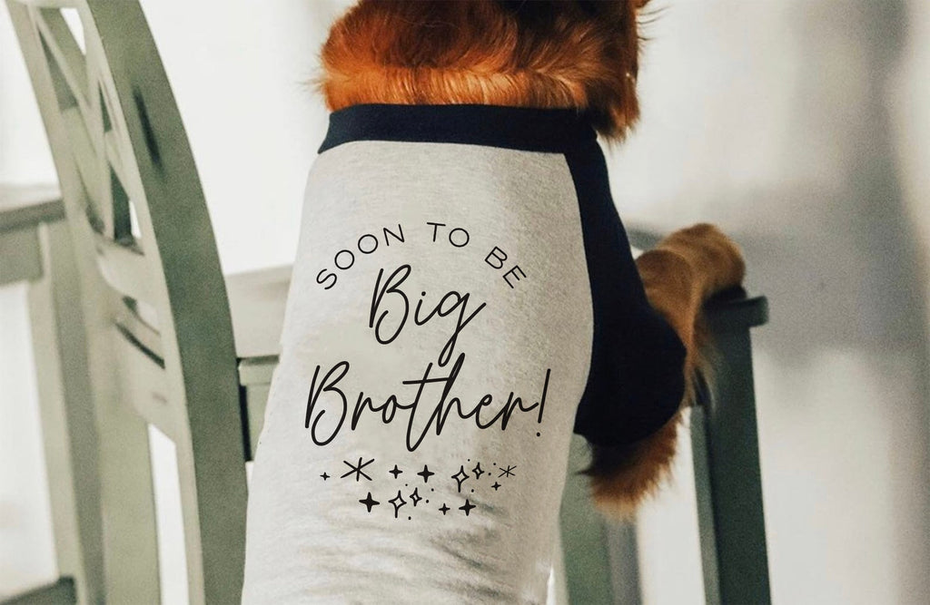 Soon To Be Big Brother Big Sister Glitter Graphic Dog Shirt in Black and White - Modeled by Chance the Golden Retriever