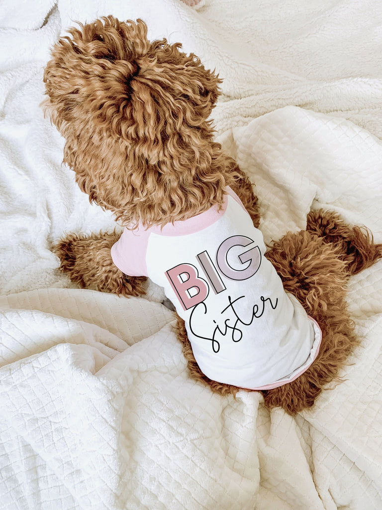 Big Brother Big Sister Pick a Graphic Color Dog Raglan Shirt in Pink and White - Modeled by Bean the Goldendoodle