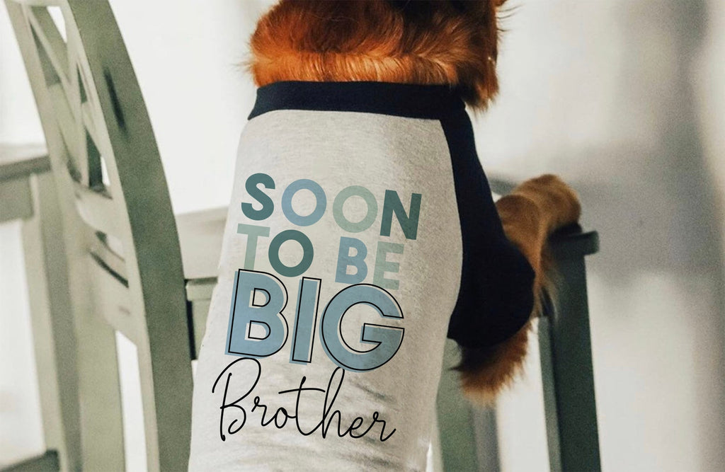 Pick a Color Soon To Be Big Brother Big Sister Pregnancy Announcement Dog Raglan Shirt - Black and White - Modeled by Chance the Golden Retriever