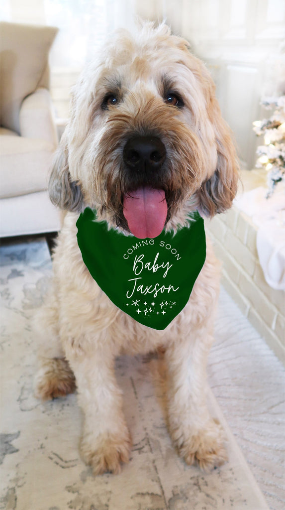 Custom Coming Soon Baby Name Soon to Be Big Sister Big Brother Birth Announcement Glitter Dog Bandana Scarf in Hunter Green