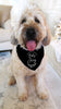 Custom Coming Soon Baby Name Soon to Be Big Sister Big Brother Birth Announcement Dog Bandana Scarf in Black