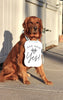 She Said Yes! Wedding Announcement Engagement Photo Shoot Special Occasion Dog Sign Dog Photo Prop Sign for Photo Shoot - 8x10 Sign with Light Blue RIbbon Modeled by Chance the Golden Retriever