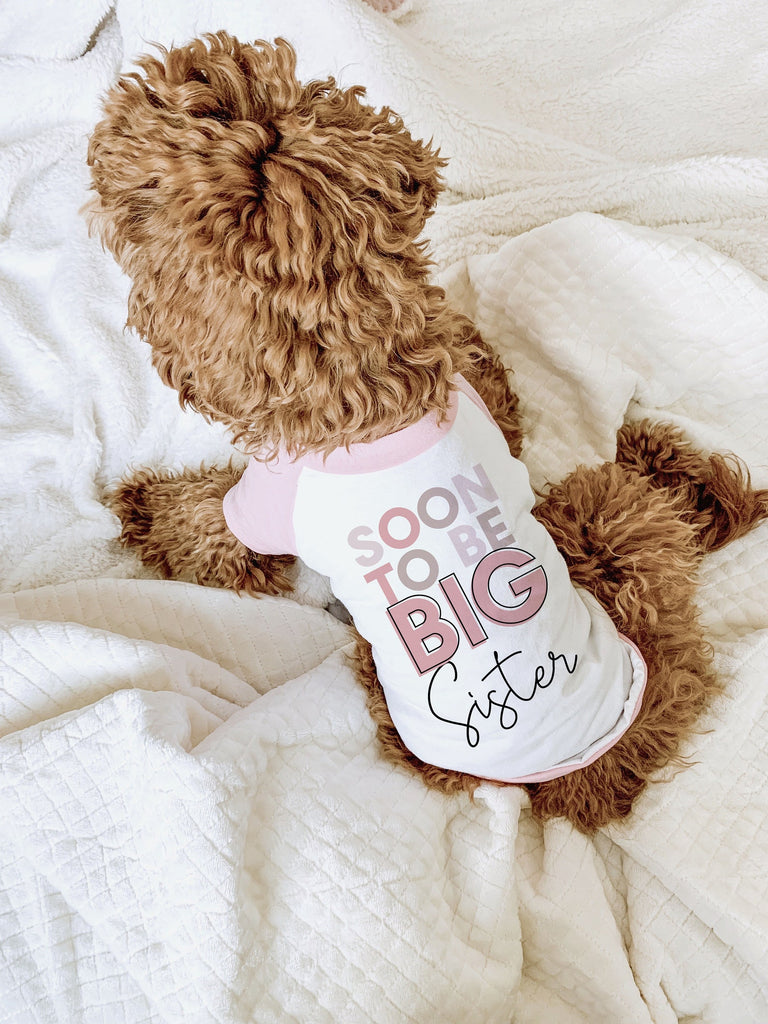 Pick a Color Soon To Be Big Brother Big Sister Pregnancy Announcement Dog Raglan Shirt - Pink and White - Modeled by Bean the Goldendoodle