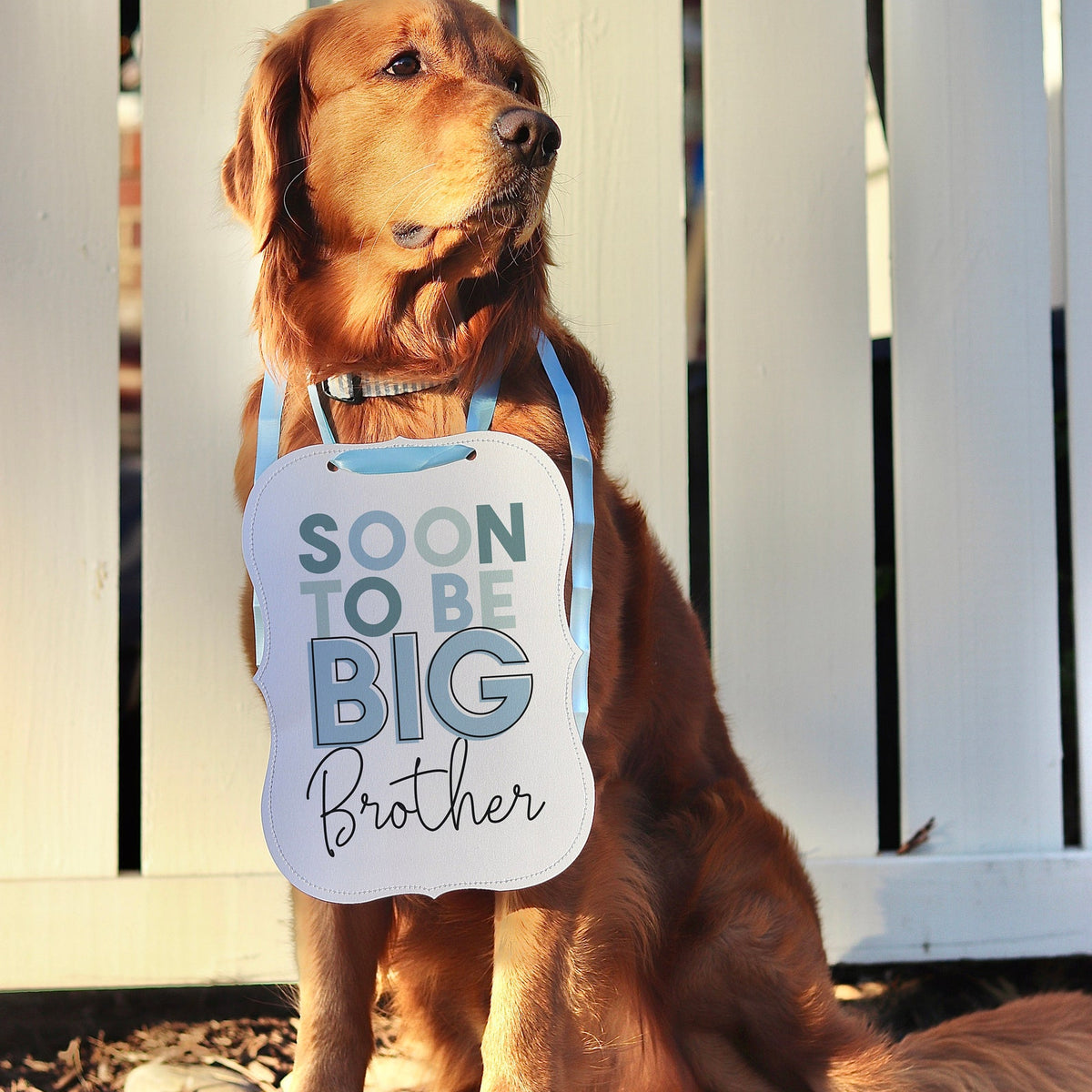 Soon To Be Big Brother Big Sis Big Brother Big Sister Color Baby Sign barkleyandwagz