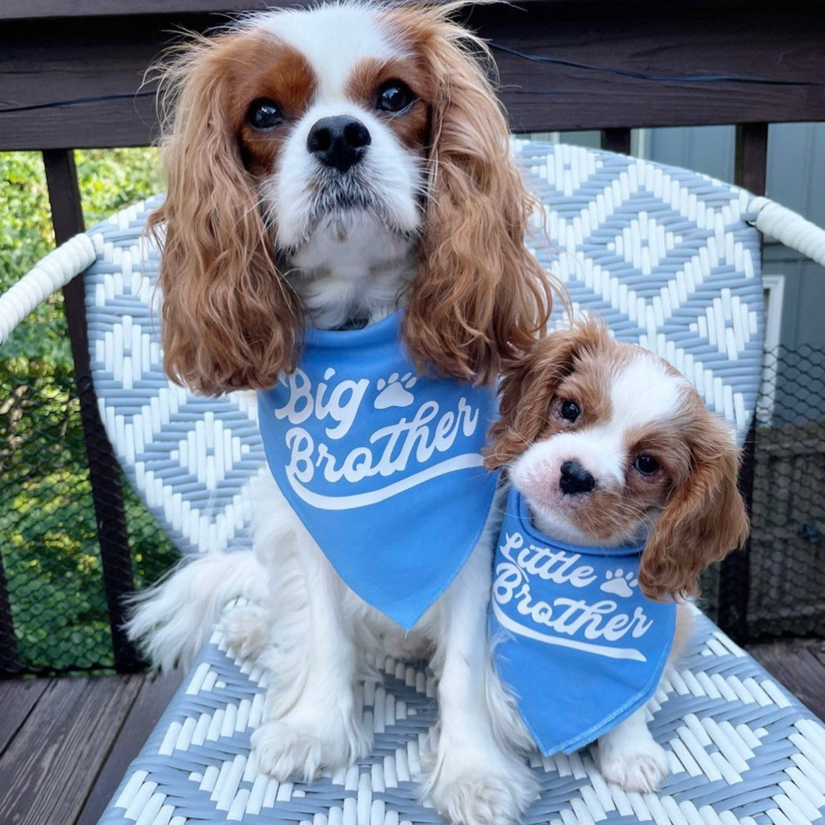 Custom Big Brother Big Sister Little Brother Little Sister Birth