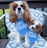 Custom Big Brother Big Sister Little Brother Little Sister Birth Announcement Dog Bandana Scarf in Light Blue