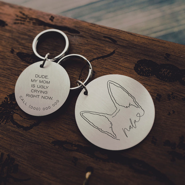 Custom Dog or Cat Ears or Other Pet's Ears Stainless Steel Silver or Gold ID Tag for Dogs and Cats - 28 and 22 mm tags in silver stainless steel shown