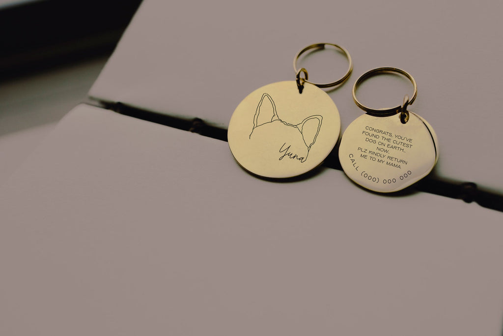 Custom Dog or Cat Ears or Other Pet's Ears Gold Dog ID Tag