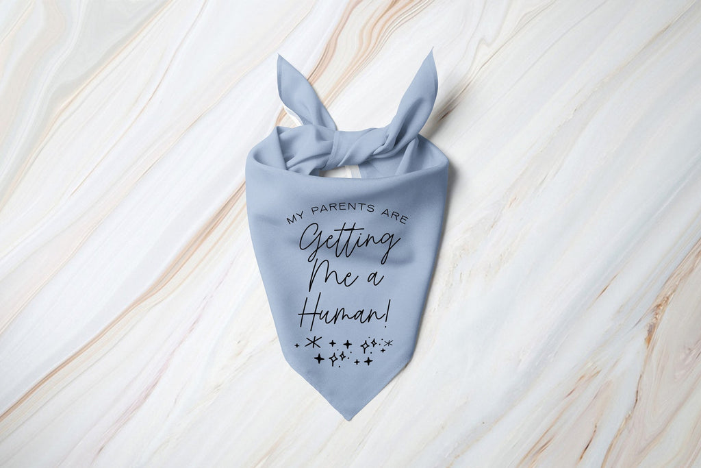 Personalized My Parents are Getting Me a Human! Pregnancy Announcement Glitter Bandana in Light Blue
