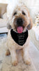 Personalized My Parents are Getting Me a Human! Pregnancy Announcement Glitter Bandana in Black