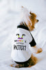 Mama's Little Witch Halloween Dog Raglan Shirt Modeled by Nutmeg the Yorkshire Terrier
