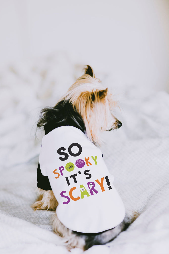 So Spooky It's Scary! Halloween Dog Raglan Shirt in Black/White Modeled by Nutmeg the Yorkie in Black and White