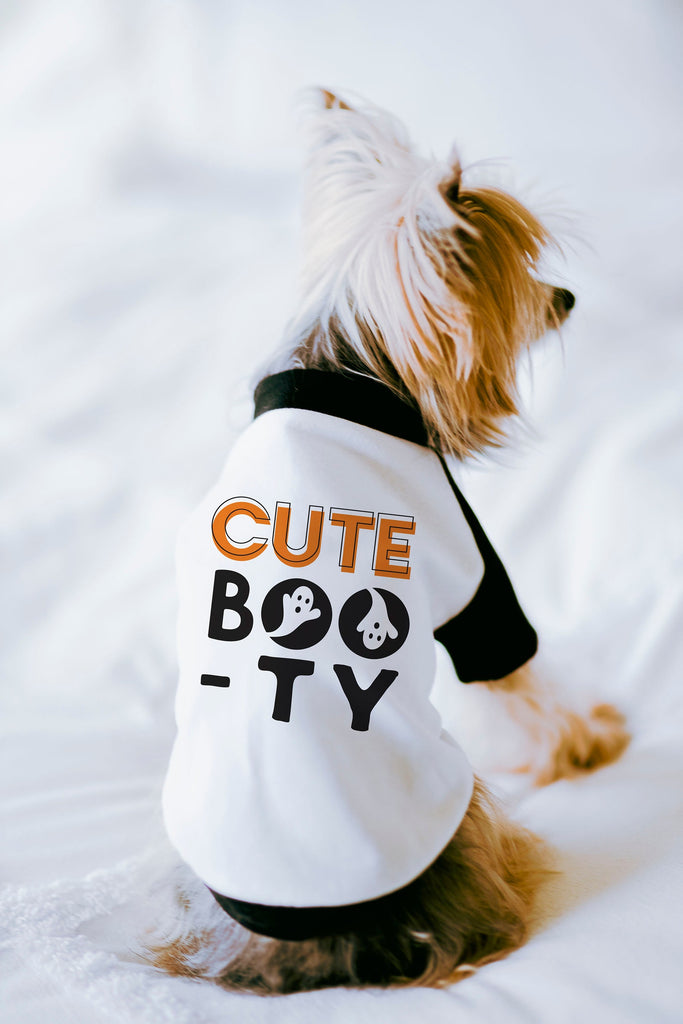 Cute Boo-ty Ghost Halloween Dog Raglan Shirt in Black and White - Modeled by Nutmeg the Yorkshire Terrier