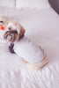 BLANK Dog Shirt Choose a Color Style Dog Raglan Tee - Grey/Navy modeled by Oscar the Shih Tzu