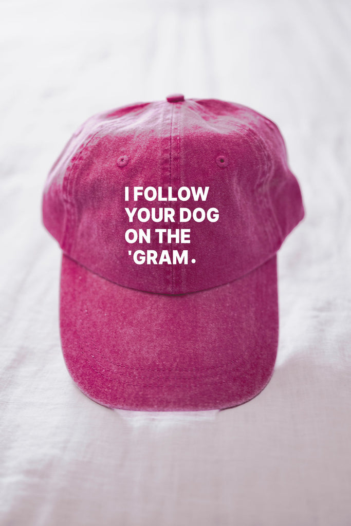 Custom I Follow Your Dog On The 'Gram Lovers I Love Dogs Instagram Dog Parent Baseball Hat in Pink