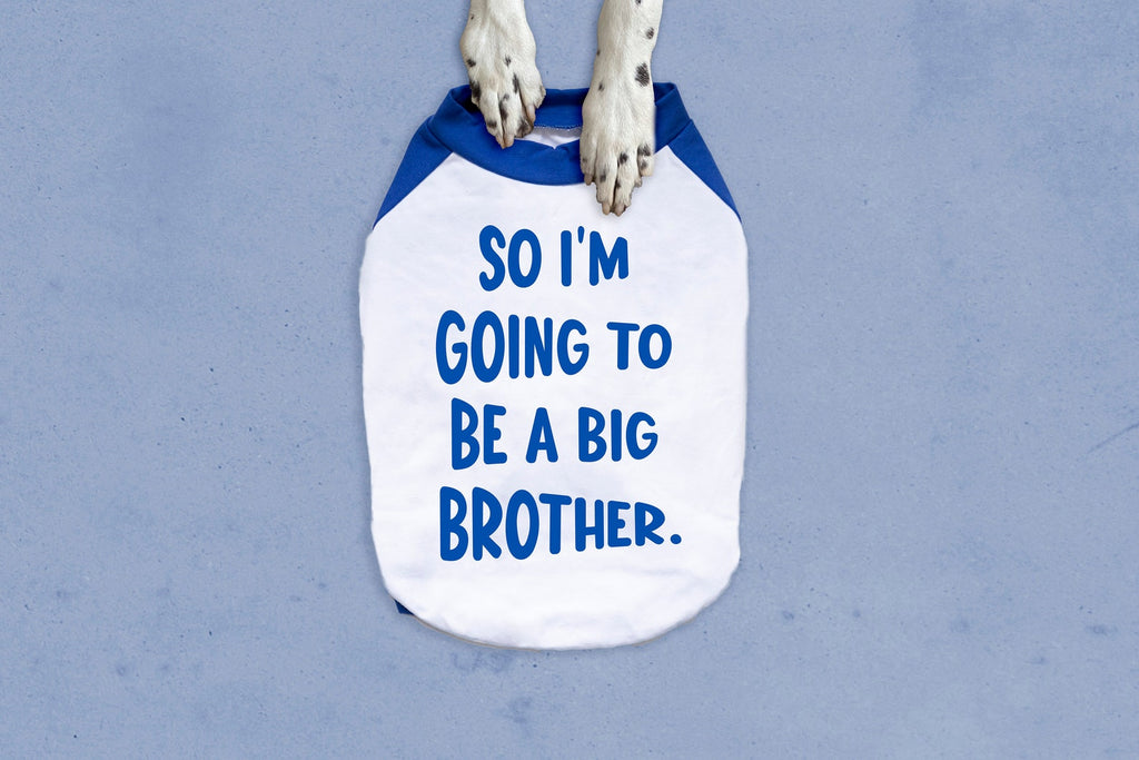 So I'm Going to Be a Big Brother or Sister Dog Shirt in Blue and White
