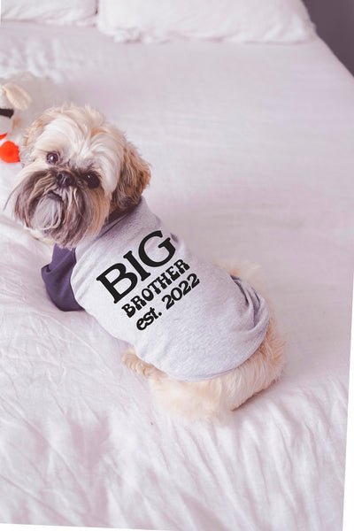 Big Sister Big Brother with Custom Est. Date Dog Raglan Shirt with Custom Date in Grey and Navy