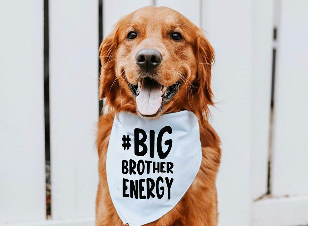 Big Brother Big Sister Energy Birth Announcement Dog Bandana Scarf in Light Blue