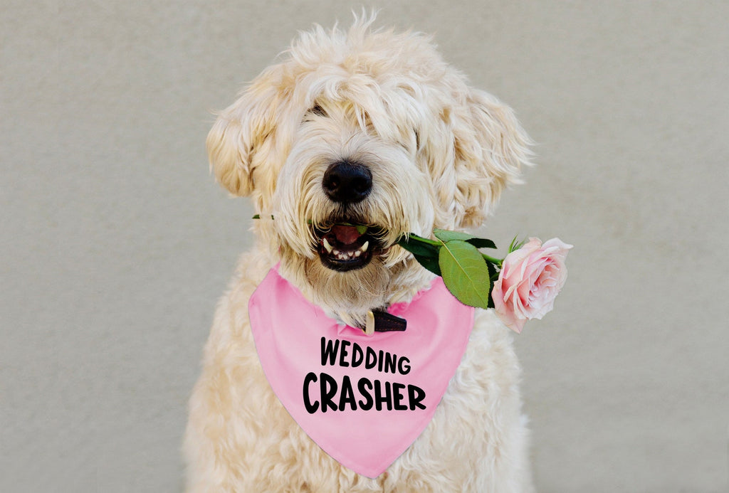 Personalized Wedding Crasher Engagement Announcement Bandana in PInk