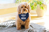 Doggy of the Bride Engagement Announcement Bandana in Navy