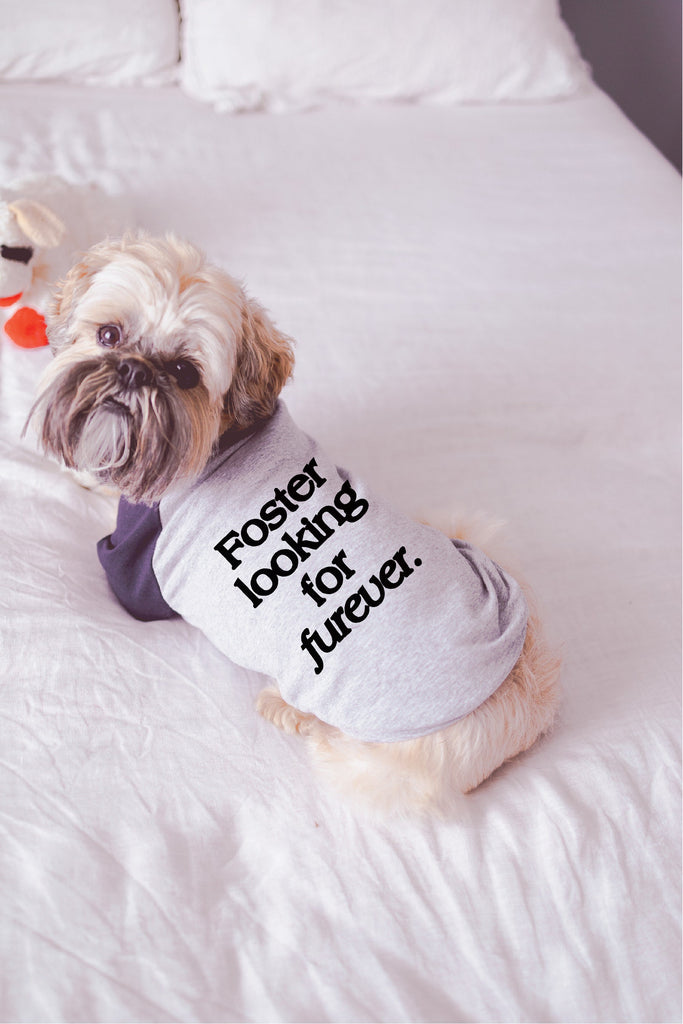 Foster Looking For Furever Dog Raglan T-Shirt in Grey and Navy