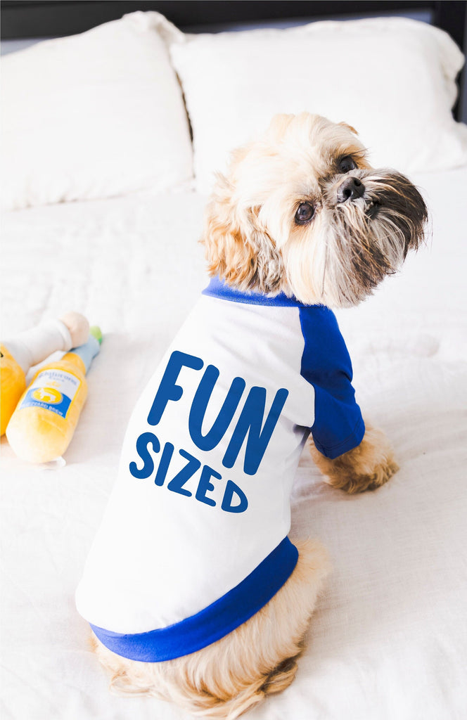 Custom Fun Sized Dog Raglan T-Shirt in Blue and White