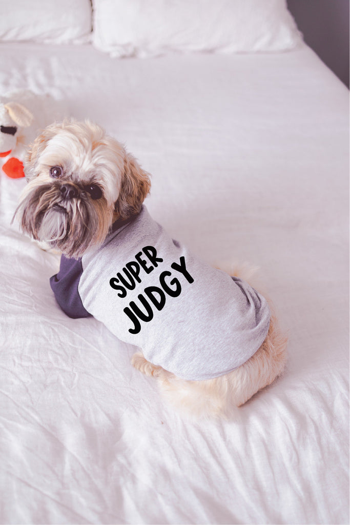 Super Judgy Dog Raglan T-Shirt in Grey and Navy