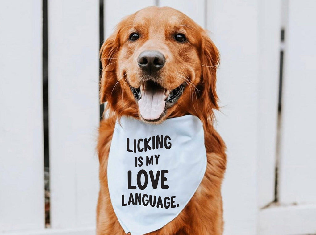 Licking is My Love Language Bandana in Light Blue