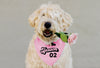 Custom Dog Name Team Jersey Age Birthday Retro Bandana in Light Pink