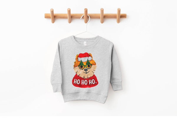 Pomeranian Christmas Pick a Style Toddler OR Youth Sweatshirt or Hoodie