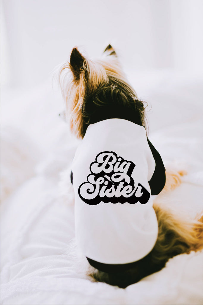 Big Sister Big Brother Dog Raglan Shirt in Black and White