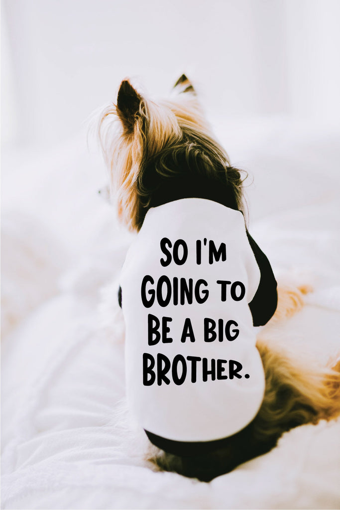 So I'm Going to Be a Big Brother or Sister Dog Shirt in Black and White