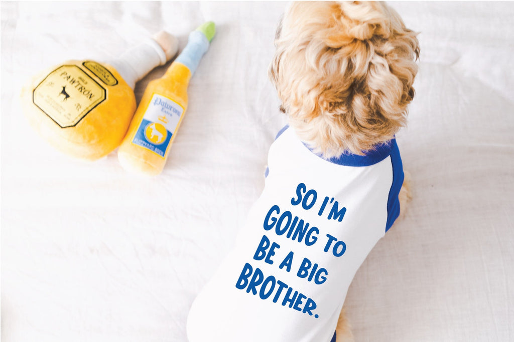 So I'm Going to Be a Big Brother or Sister Dog Shirt in Blue and White