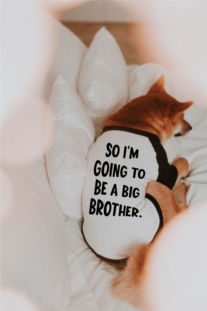 So I'm Going to Be a Big Brother or Sister Dog Shirt in Black and White