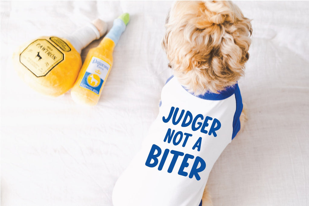 Judger Not a Biter Dog Raglan T-Shirt in Blue and White